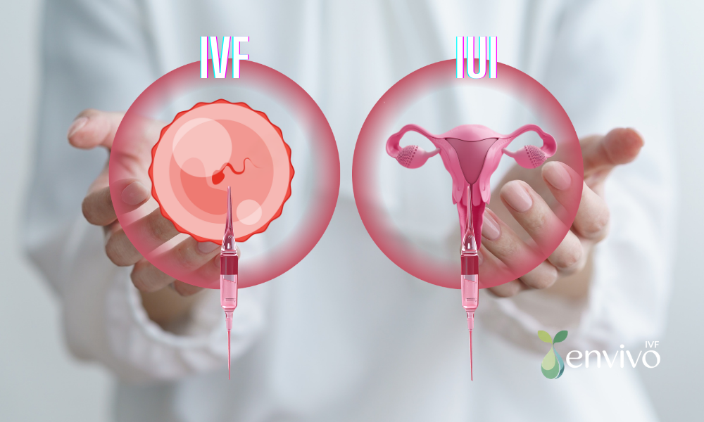 IUI ve IVF: Hangi Kısırlık Tedavisi Sizin İçin Uygun?